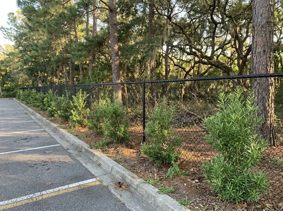 Black chain link perimeter fence and landscaped buffer between a parking lot and a wooded lot