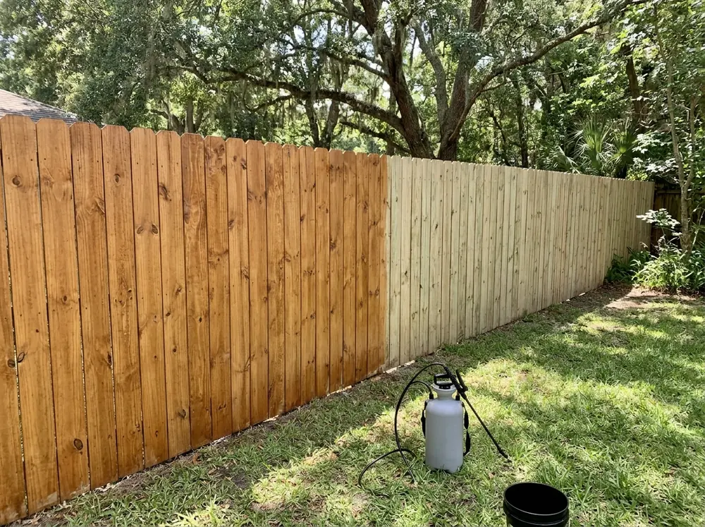 A pine privacy fence half finished in a semi-transparent cedar-tone stain with the grain showing