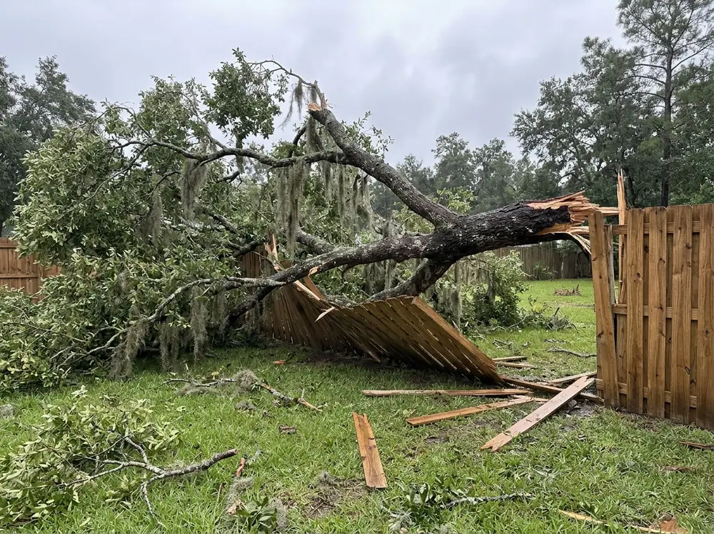 A large oak limb lying across a crushed section of wood privacy fence after a storm