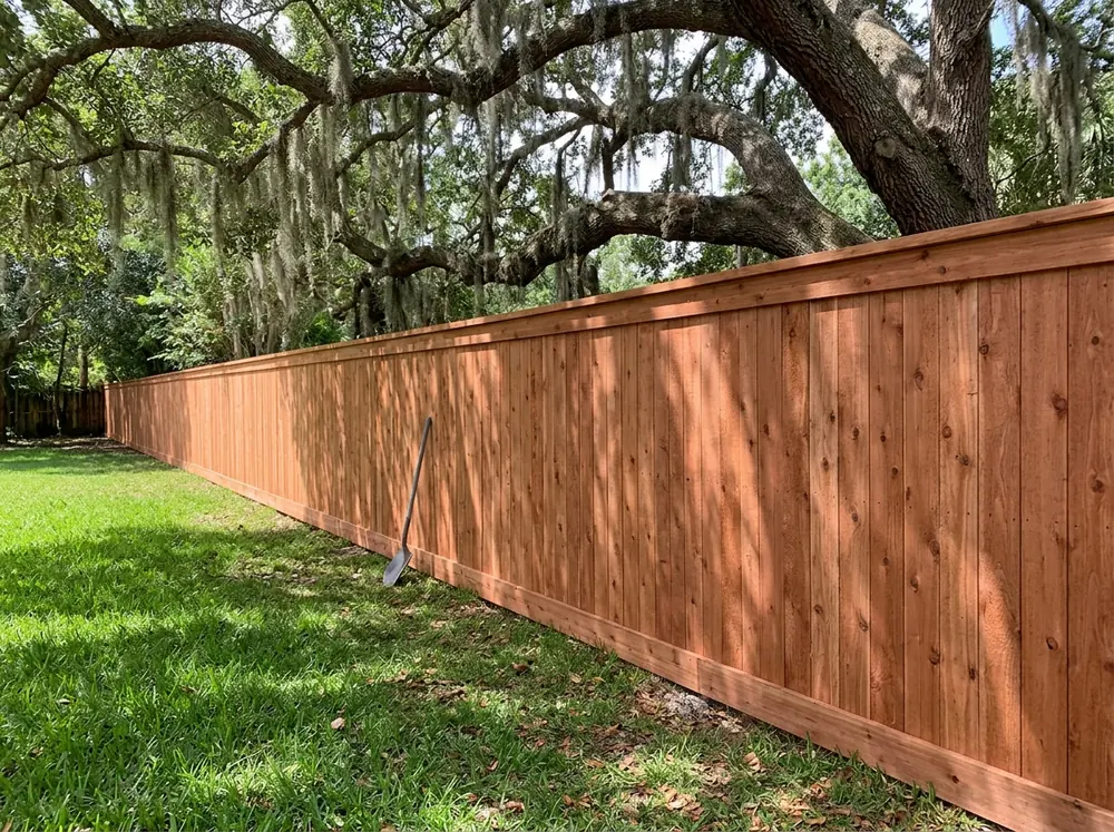 A reddish cedar privacy fence with a top cap and trim board under live oaks
